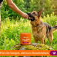 VitalPaws Hip & Joint Bites