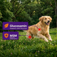 VitalPaws Hip & Joint Bites